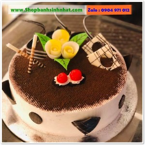 Bánh Sinh Nhật Tiramisu - T368
